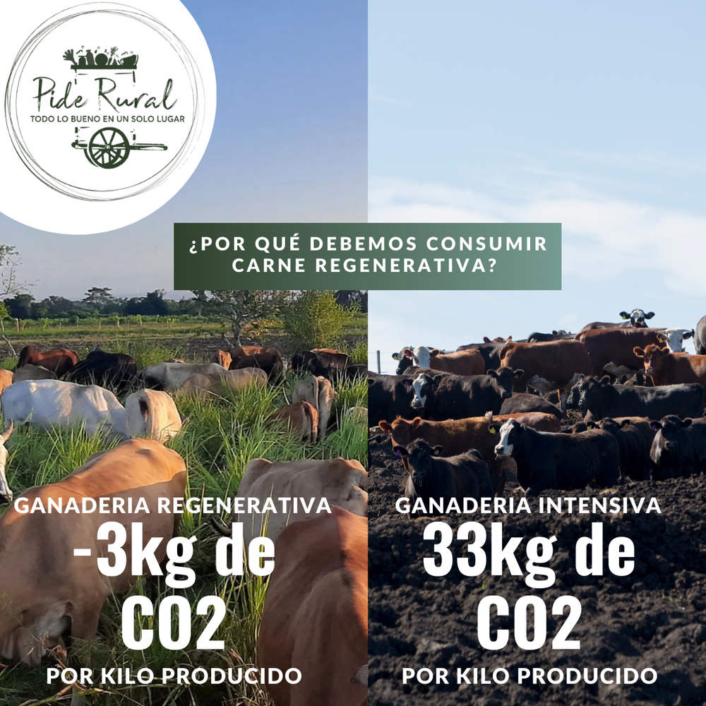 Los Beneficios Ambientales de la Carne de Ganadería Regenerativa Vs. Ganadería Intensiva: Cómo Reducir tu Huella como Consumidor Responsable