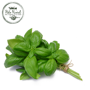 Albahaca Orgánico