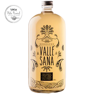 Kombucha Vallesana Jengibre