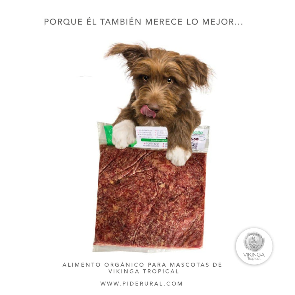 Alimento para Perro con Carne de Animales de Libre Pastoreo 500gr