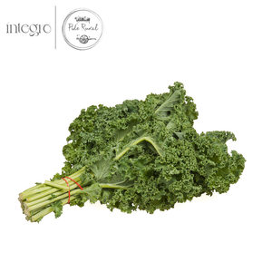 Kale Rizado Orgánico